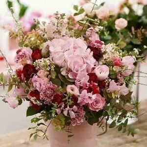 Meet your Posher, Alisha